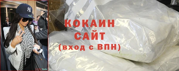 прущие грибы Пестово