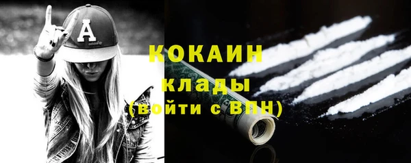 спайс Пересвет