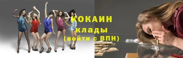 прущие грибы Пестово