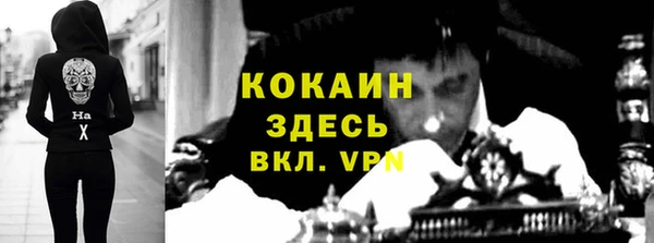 прущие грибы Пестово