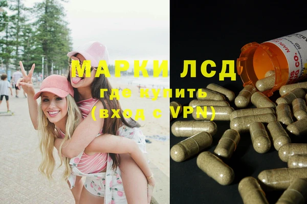 прущие грибы Пестово