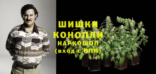 спайс Пересвет