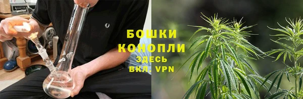 спайс Пересвет