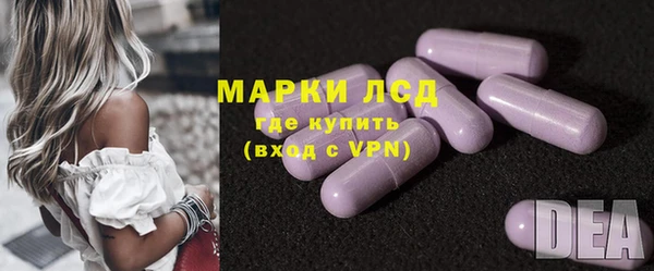 прущие грибы Пестово