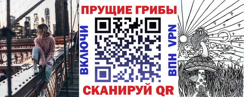 Купить где  Княгинино  Галлюциногенные грибы Psilocybine cubensis 